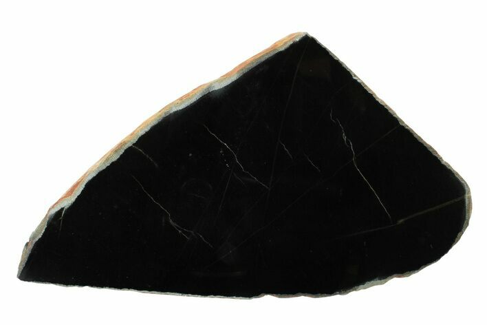 Polished Black Jade (Actinolite) Slab - Western Australia #240187